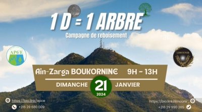 الأحد : غراسة 300 شجرة في إطار حملة "دينار دينار بوقرنين يخضار''