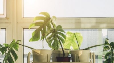 طقس اليوم: ارتفاع طفيف في درجات الحرارة 