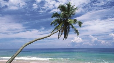 Le Sri Lanka, nouvelle destination ouverte à partir de la Tunisie