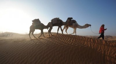 إهتمام فرنسي بالإستثمار بالجنوب التونسي في هذه المجالات 