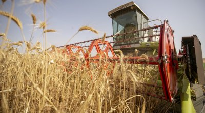 تونس تؤكد ضرورة إصلاح قواعد التجارة في الفلاحة والأمن الغذائي