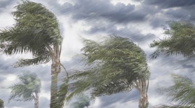 طقس اليوم : رياح قوية والبحر هائج 