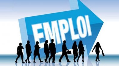 La Tunisie accueillera la réunion régionale de haut niveau sur l’emploi des jeunes