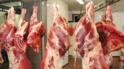 ستباع بـ35 دينار للكغ..تونس تستورد لحوم حمراء من فرنسا و إسبانيا