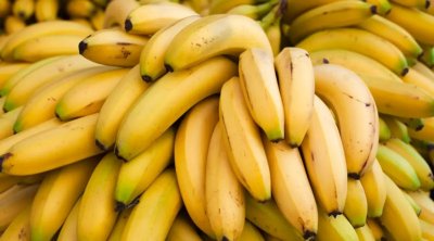 بداية من الخميس : بيع الموز المصري بـ5 دنانير للكغ الواحد