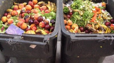 تونس الثالثة عربيا في تبذير الطعام