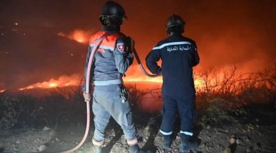 قبلي : حريق يأتي على أطنان من العلف والتمور