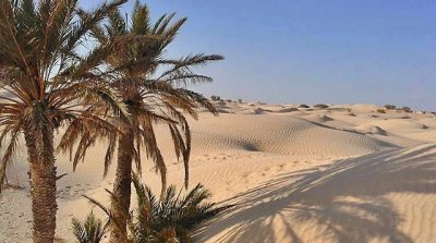 مجلس الوزراء يصادق على أمر إحداث ديوان تنمية الجنوب والصحراء