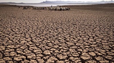 مسؤول بوزارة الفلاحة : وضعية المياه بتونس غير مريحة