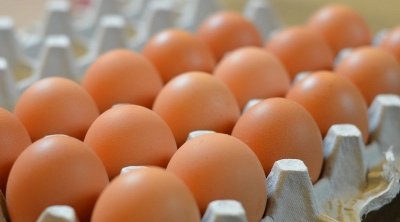 تونس : تحذير من بيض قادم من الجزائر يحمل المرض