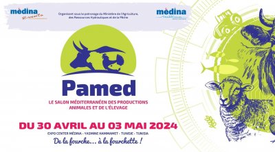 Pamed 2024 : plus de 350 exposants, dont 40% venant de l'étranger 