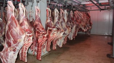 وزارة التجارة تعتزم إستيراد كميات من لحوم الضأن من أوروبا 