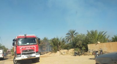 حريقان في توزر والكاف يأتيان على مساحات من النخيل والشعير