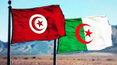 تونس تشارك في معرض الجزائر الدولي 