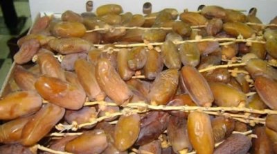 تونس : ارتفاع قيمة صادرات المواد الفلاحية البيولوجية بـ24.5%