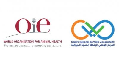 انتخاب طبيب بيطري تونسي عضوا بالمنظمة العالمية للصحة الحيوانية