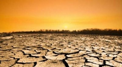 تونس : ماي 2024 ثالث أكثر الأشهر حرارة منذ سنة 1950