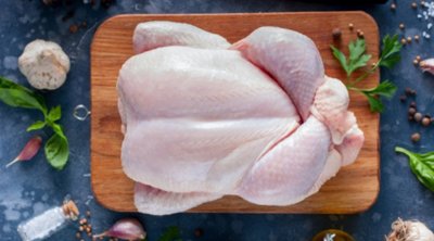 تراجع أسعار إنتاج دجاج اللحم الحي وبيض الاستهلاك في جوان 2024