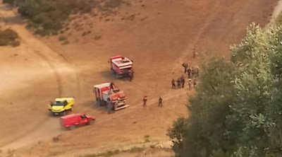 الحماية المدنية التونسية تشارك في إخماد حريق داخل التراب الجزائري