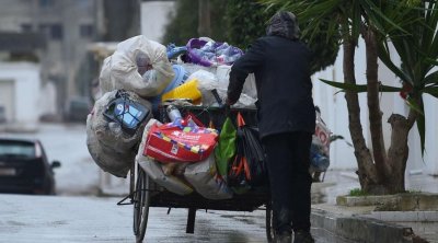 تونس : قرار بهيكلة ''البرباشة'' ضمن برنامج التشغيل الأخضر