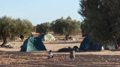 نائب بالبرلمان : سرقة و براكجات من قبل المهاجرين في جبنيانة و العامرة 