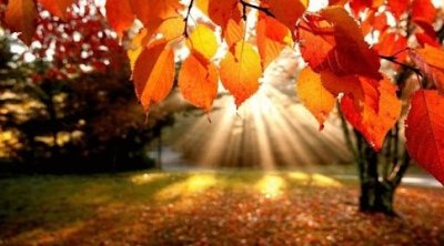 تونس : خريف 2024 سيكون أكثر حرارة من المعتاد