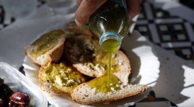 Huile d’olive : une récolte attendue de 340 mille tonnes