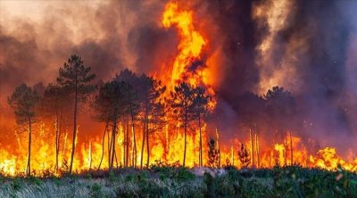 تلوث الهواء الناجم عن الحرائق يتسبب بوفاة 1,5 مليون شخص في العالم سنويا