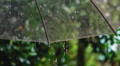 ظهور سحب كثيفة أحيانًا مصحوبة بأمطار اليوم السبت