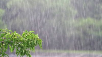 تونس : أمطار رعدية وغزيرة وحرارة منخفضة اليوم السبت