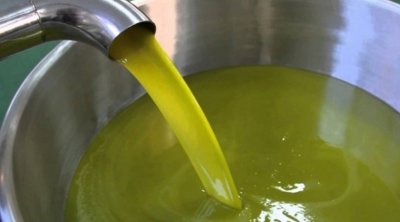Huile d’olive Tunisienne: 13 entreprises en mission à Paris