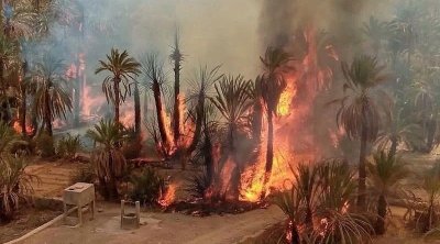 حريق يأتي على 100 أصل نخيل في الواحة القديمة بتوزر