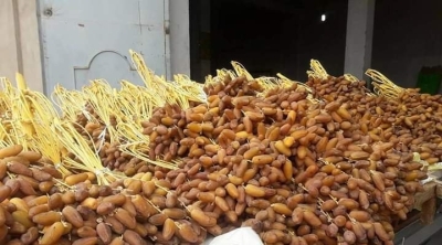 Légère baisse des recettes des exportations des dattes tunisiennes