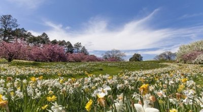Tunisie : La météo pour ce vendredi 21 mars 2025