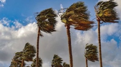 رياح شرقية قوية نسبياً قرب السواحل الشرقية ليلا