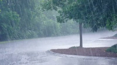 Tunisie - Alerte météo : Orages, grêle et vents violents attendus ce mercredi