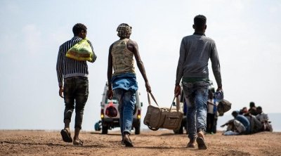 تونس ترحل عدد مهاجري جنوب الصحراء الى بلدانهم بصفة طوعية