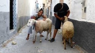 6 جوان : موعد عيد الأضحى 2025 في تونس
