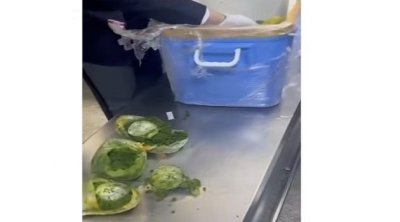 إحباط محاولة تهريب 2.5 كلغ من ''الماريخوانا'' بمطار تونس قرطاج (فيديو)