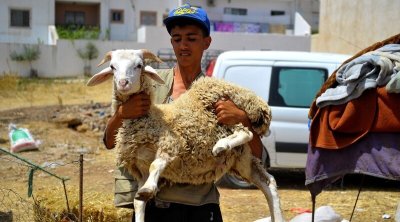 الفلك الدولي يحدد موعد عيد الأضحى 2025 