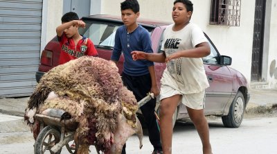 تونس : إلقاء حوالي 500 ألف من جلود الأضاحي في الطبيعة يمثل كارثة بيئية