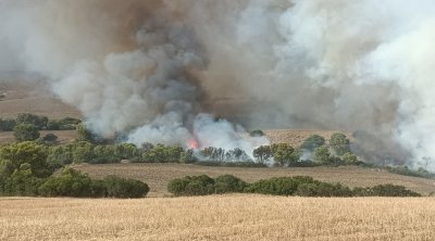 Tunisie : Incendie maîtrisé au Mont Dhara à Siliana