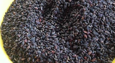 أسعار الزقوقو تصل إلى 53 دينارًا في تونس