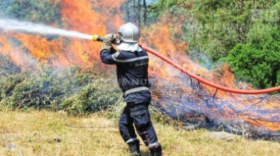 Siliana : Incendie maîtrisé au mont Frouha 