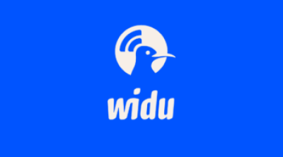WIDU Africa : la diaspora tunisienne désormais au cœur du soutien aux micro-entreprises