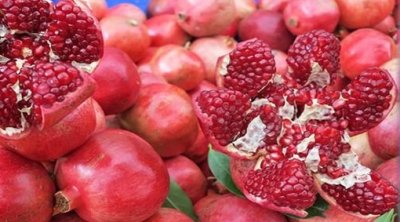 صابة رمان قياسية تتجاوز 20 ألف طن بولاية قابس