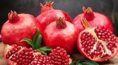 الأربعاء : انطلاق الدورة التاسعة لمهرجان الرّمان بتستور