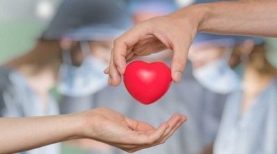 CNPTO-Tunisie : 15 greffes d’organes menées en moins de 30 jours
