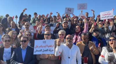 الصحفيون في تونس يحتجون ضد القيود وتدهور أوضاع الصحافة (فيديو)