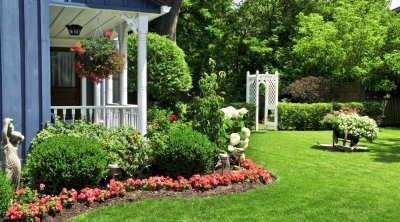 نباتات شتوية لا تذبل.. سر الحدائق الخضراء في البرد